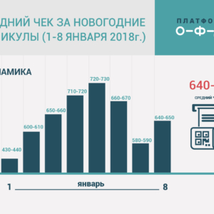 Как менялось потребительское поведение россиян на новогодних каникулах: покупатель стал грамотнее